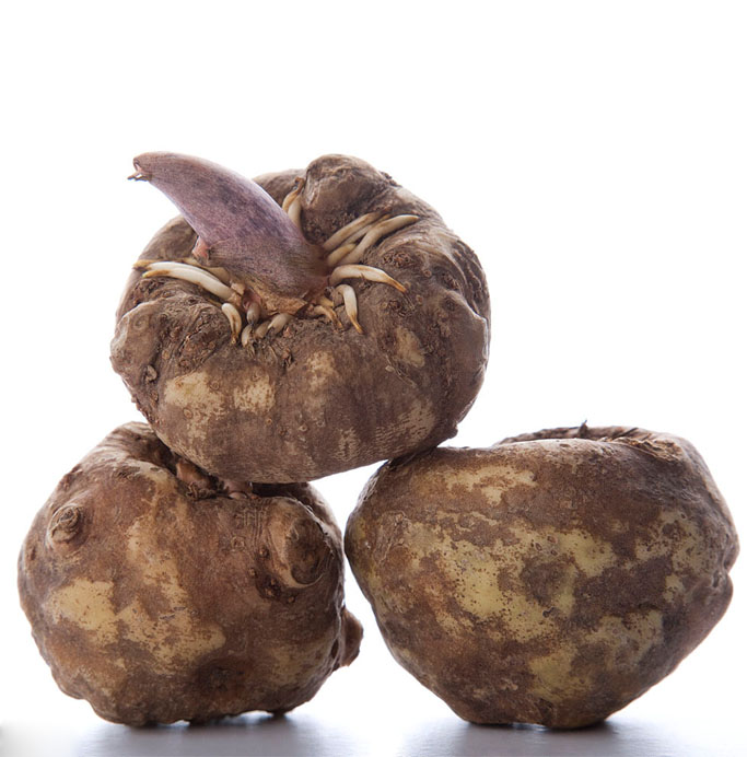 魔芋是什么？